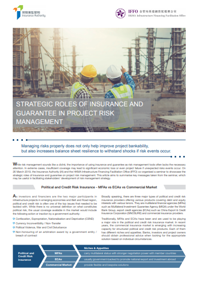 Strategic Roles of Insurance and Guarantee in Project Risk Management