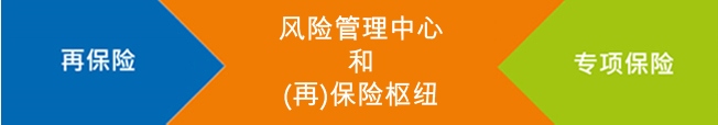 再保险 / 风险管理中心和(再)保险枢纽/ 专项保险